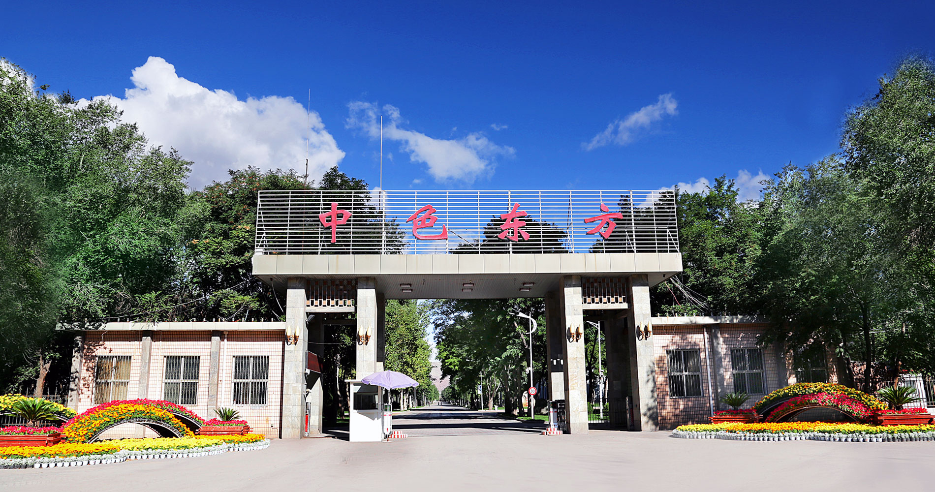 法律聲明 